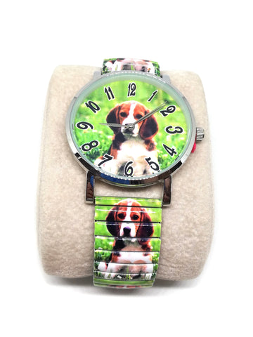 Montre chien vert