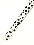 Montre dalmatien